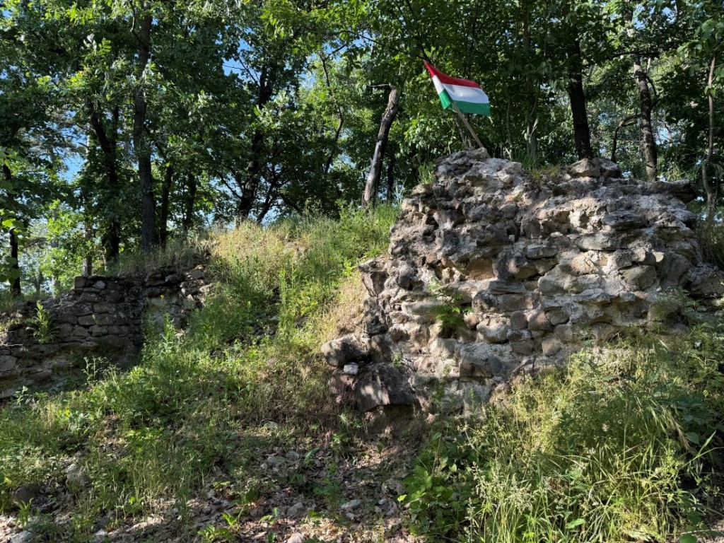 Bükkaljai régi erősség Várak a Bükkben túramozgalom részeként jutottam el ide. Könnyen megközelíthetőek a fennmaradt csekély romok. Cserépvár romja - Cserépváralja